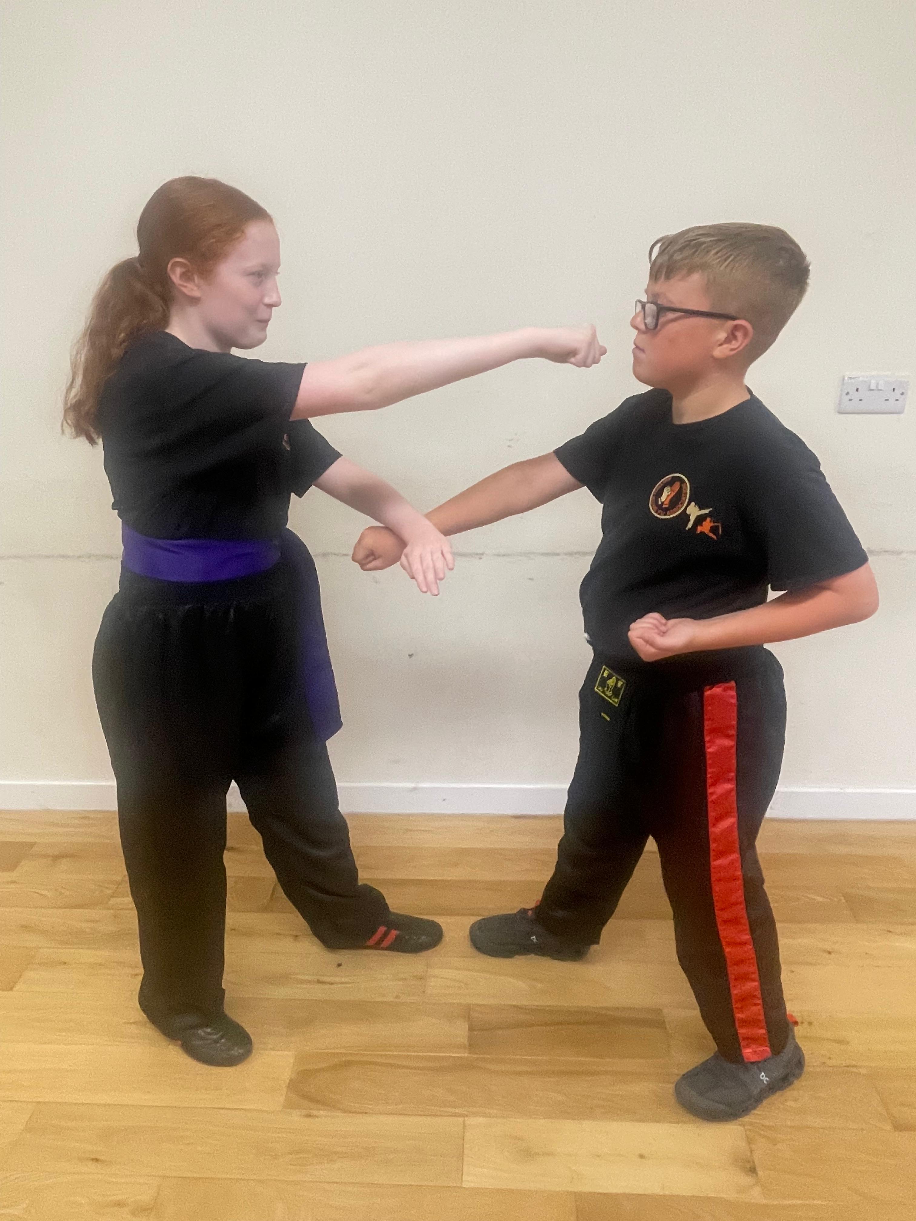 Partner technique practice